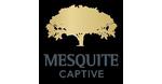 Logo for Mesquite Capital