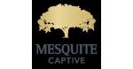 Logo for Mesquite Capital