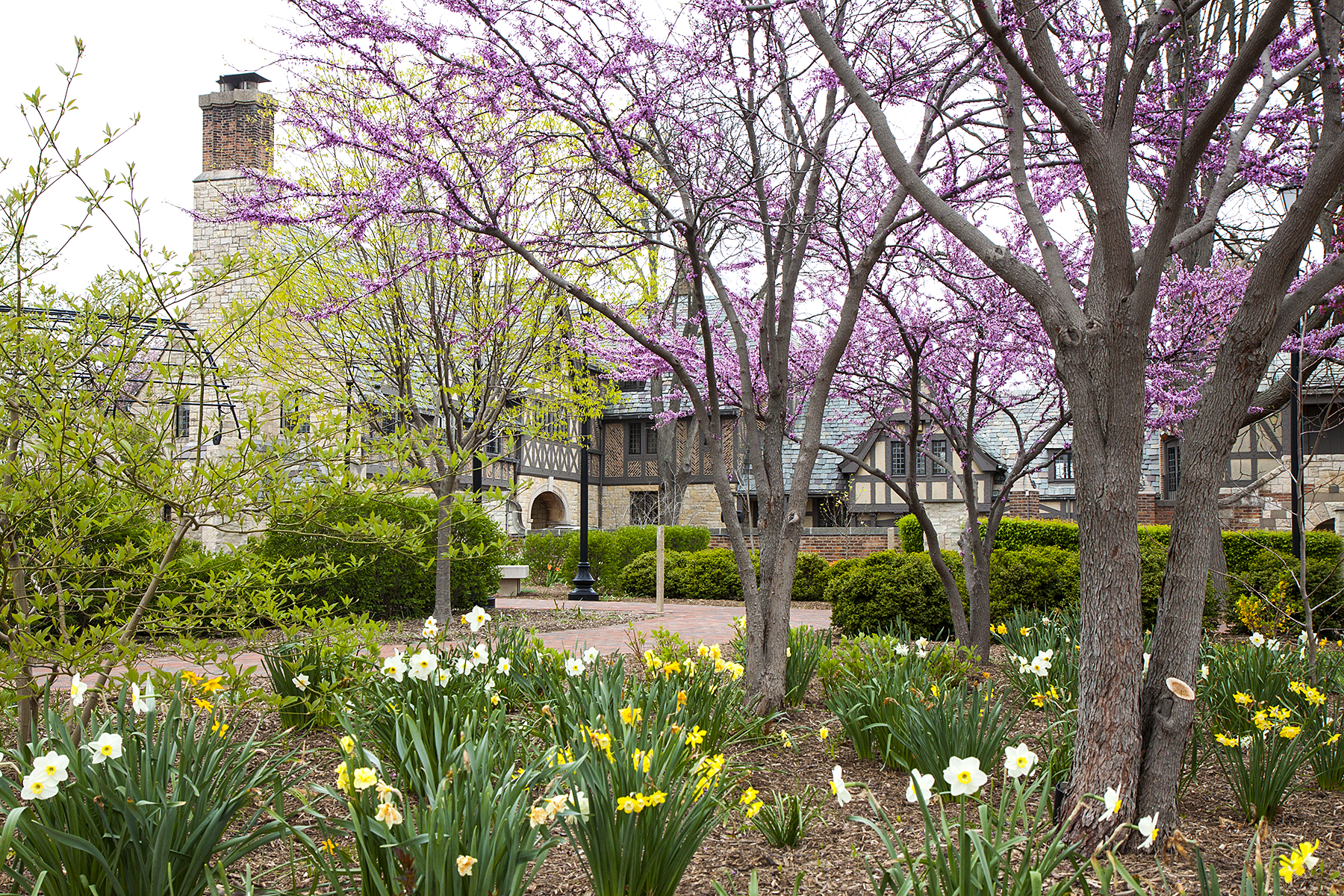 Celebrate Impact! JA in McLean County